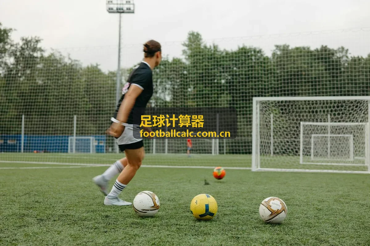 足球计算器组合投注模型示意图